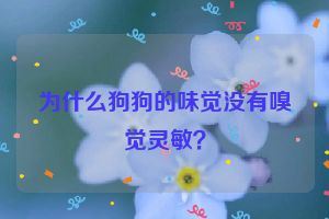 为什么狗狗的味觉没有嗅觉灵敏？