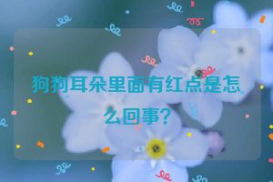 狗狗耳朵里面有红点是怎么回事？