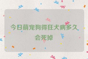 今日萌宠狗得狂犬病多久会死掉