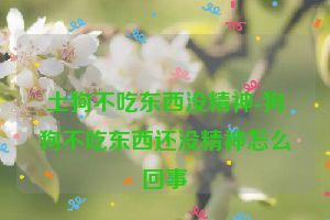 土狗不吃东西没精神-狗狗不吃东西还没精神怎么回事