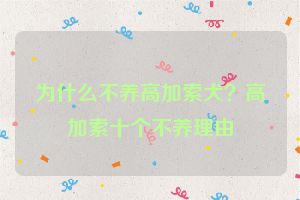 为什么不养高加索犬?高加索十个不养理由