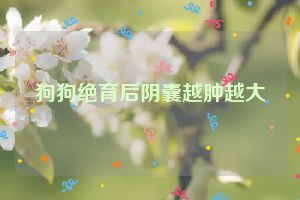 狗狗绝育后阴囊越肿越大