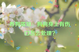 养狗需知：狗狗身上有伤口怎么处理？