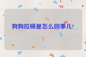 狗狗拉稀是怎么回事儿?