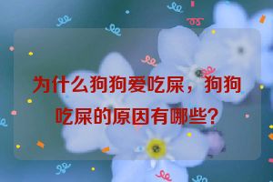 为什么狗狗爱吃屎，狗狗吃屎的原因有哪些？