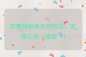 如果狗狗有这些特征,说明它很“委屈”!