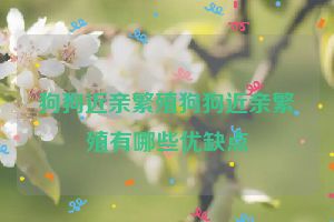 狗狗近亲繁殖狗狗近亲繁殖有哪些优缺点