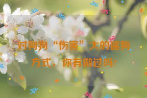 对狗狗“伤害”大的遛狗方式，你有做过吗?