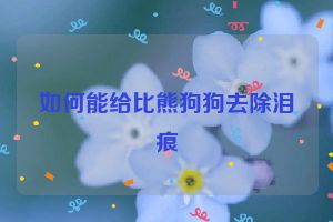 如何能给比熊狗狗去除泪痕