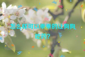 怎么样可以乖乖的让狗狗吃药？