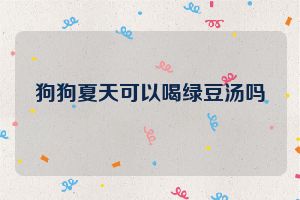 狗狗夏天可以喝绿豆汤吗