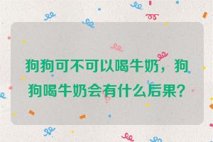 狗狗可不可以喝牛奶，狗狗喝牛奶会有什么后果？