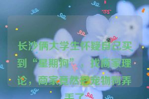 长沙俩大学生怀疑自己买到“星期狗”，找商家理论，商家竟然把宠物狗弄丢了