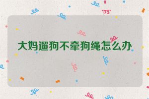 大妈遛狗不牵狗绳怎么办