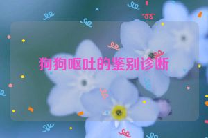 狗狗呕吐的鉴别诊断