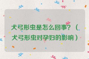 犬弓形虫是怎么回事？（犬弓形虫对孕妇的影响）