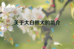 关于大白熊犬的简介