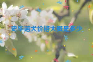 史毕诺犬价格大概是多少