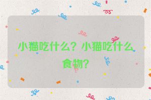 小猫吃什么？小猫吃什么食物？