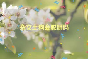 杂交土狗会聪明吗