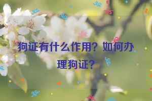 狗证有什么作用？如何办理狗证？