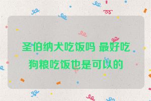 圣伯纳犬吃饭吗 最好吃狗粮吃饭也是可以的