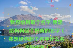 我想给狗取个名字-我想给狗狗起个好听的名字（我想给狗起个名字什么名字好听呢）