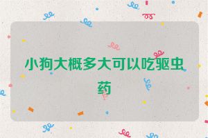小狗大概多大可以吃驱虫药
