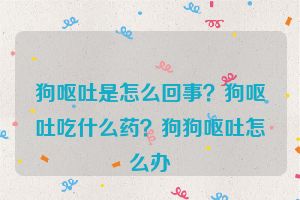 狗呕吐是怎么回事？狗呕吐吃什么药？狗狗呕吐怎么办