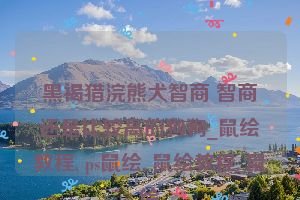 黑褐猎浣熊犬智商 智商还是比较高的狗狗_鼠绘教程, ps鼠绘, 鼠绘教程, 鼠绘