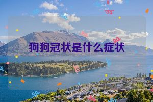 狗狗冠状是什么症状