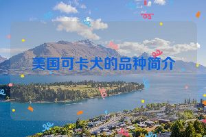 美国可卡犬的品种简介