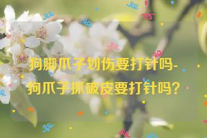 狗脚爪子划伤要打针吗-狗爪子抓破皮要打针吗？