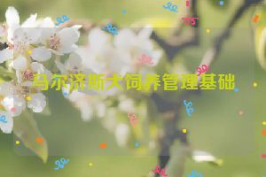 马尔济斯犬饲养管理基础