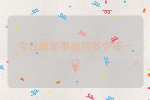 今日萌宠泰迪狗多少钱一只