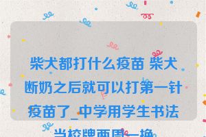 柴犬都打什么疫苗 柴犬断奶之后就可以打第一针疫苗了_中学用学生书法当校牌两周一换