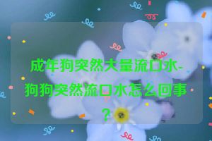 成年狗突然大量流口水-狗狗突然流口水怎么回事？