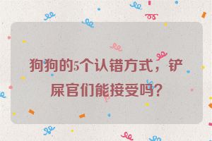 狗狗的5个认错方式，铲屎官们能接受吗？