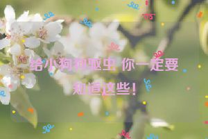 给小狗狗驱虫 你一定要知道这些！