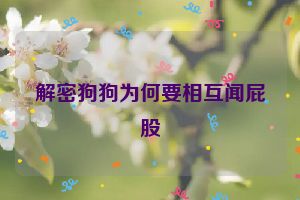 解密狗狗为何要相互闻屁股