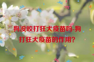 狗没咬打狂犬疫苗吗-狗打狂犬疫苗的作用？