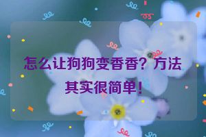 怎么让狗狗变香香？方法其实很简单！