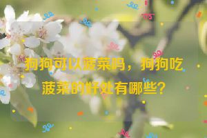 狗狗可以菠菜吗，狗狗吃菠菜的好处有哪些？