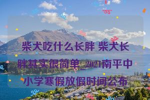 柴犬吃什么长胖 柴犬长胖其实很简单_2021南平中小学寒假放假时间公布