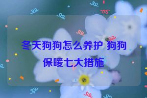 冬天狗狗怎么养护 狗狗保暖七大措施