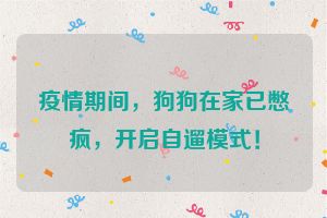 疫情期间，狗狗在家已憋疯，开启自遛模式！