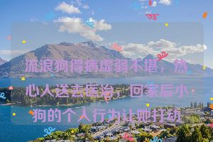 流浪狗得病虚弱不堪，热心人送去医治，回家后小狗的个人行为让她打动