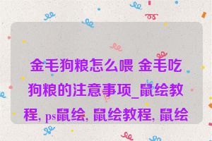 金毛狗粮怎么喂 金毛吃狗粮的注意事项_鼠绘教程, ps鼠绘, 鼠绘教程, 鼠绘