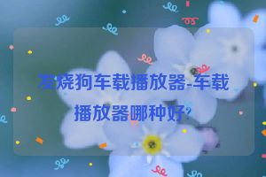 发烧狗车载播放器-车载播放器哪种好?