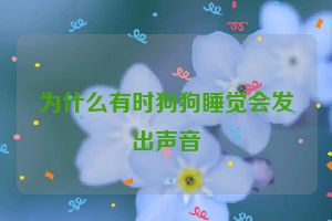 为什么有时狗狗睡觉会发出声音